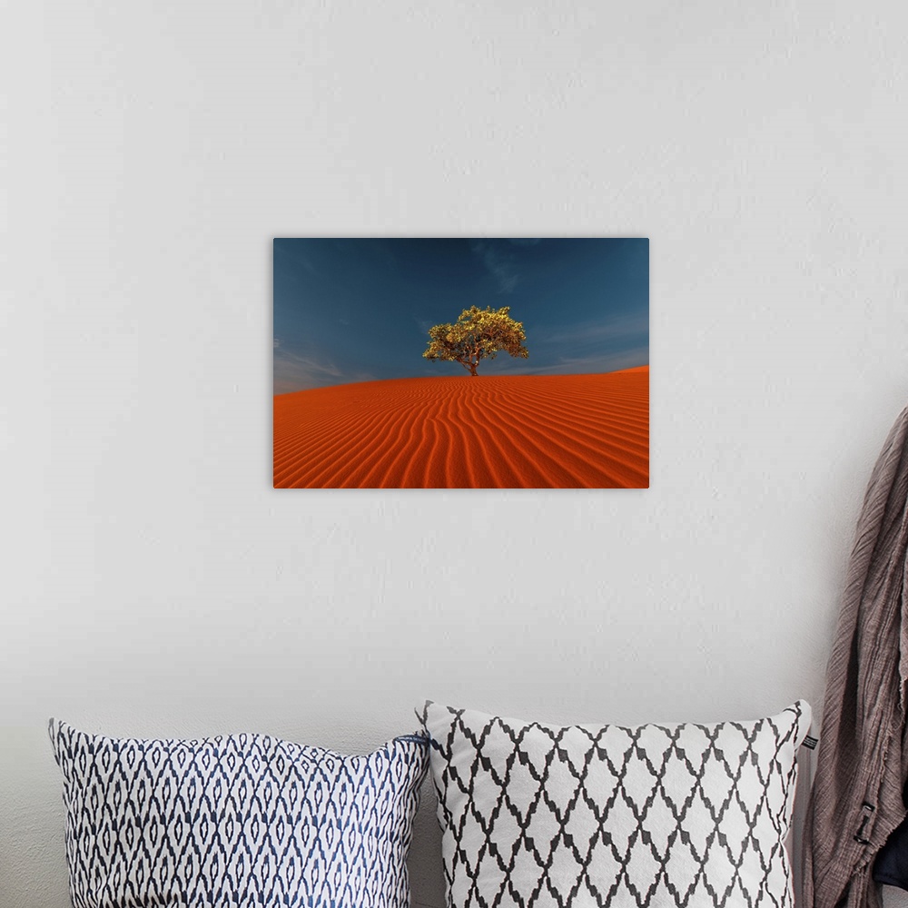 A bohemian room featuring Rippled Sand Dunes And Tree Growing Under Blue Sky In Desert