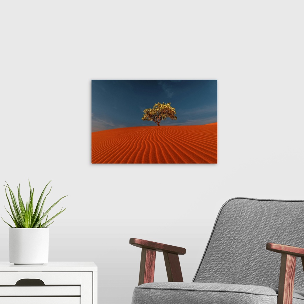 A modern room featuring Rippled Sand Dunes And Tree Growing Under Blue Sky In Desert