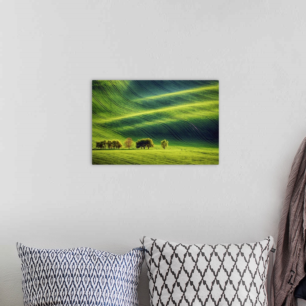 A bohemian room featuring Rolling Sunny Hills With Fields And Trees, Southern Moravia, Czech Republic