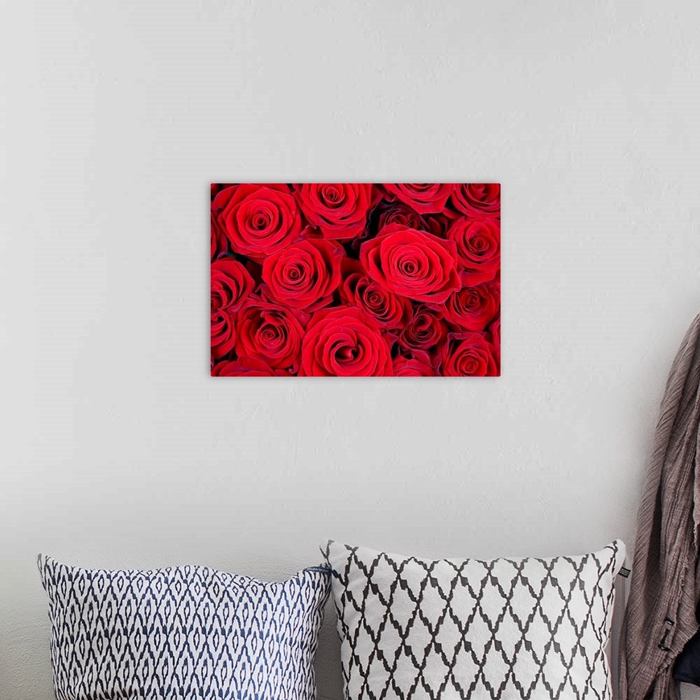 A bohemian room featuring Many red roses as a floral background.