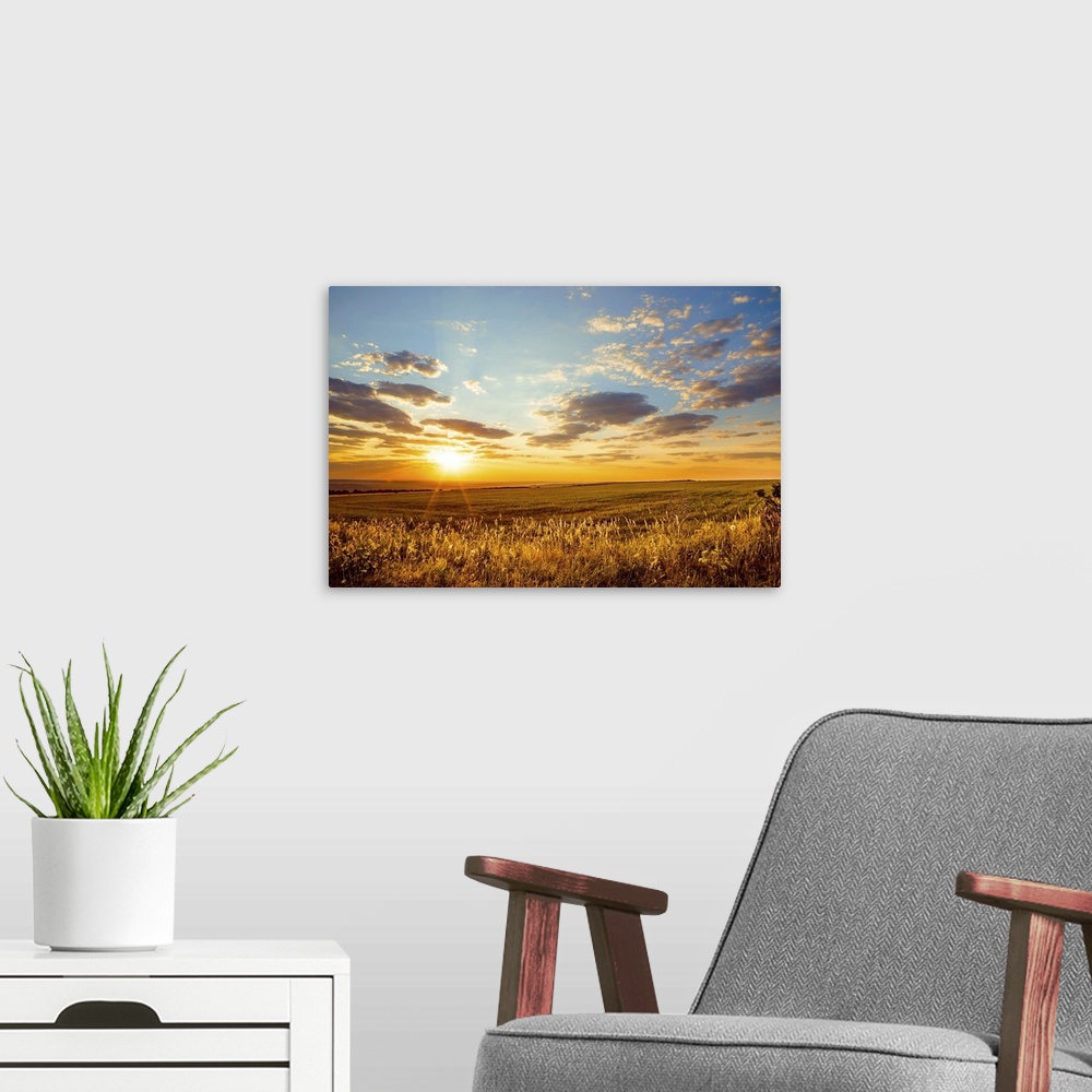 A modern room featuring Saratov region, travel, landscape and nature of Russia. Yellow golden orange dramatic dawn at daw...