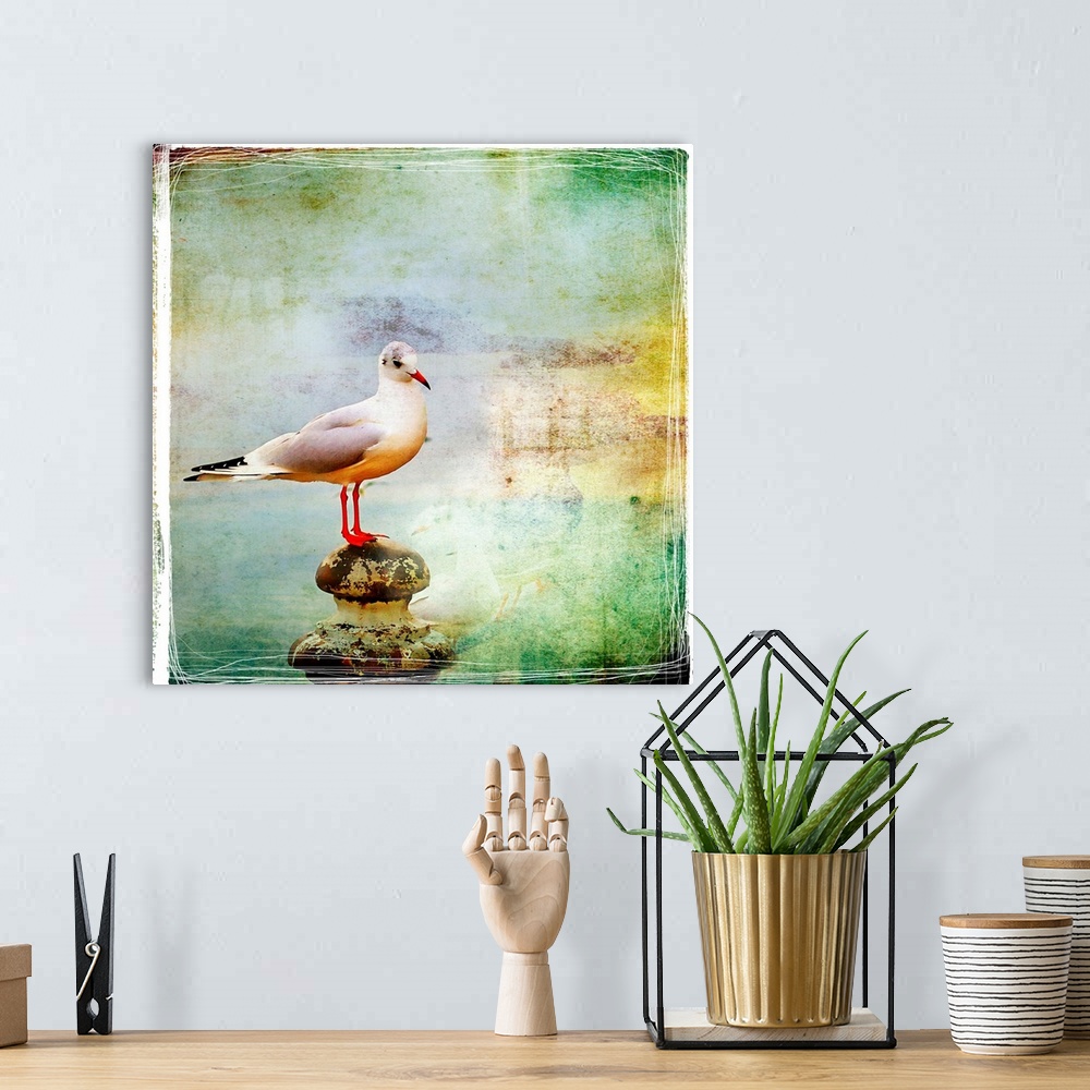 A bohemian room featuring sea gull-artistic retro styled picture