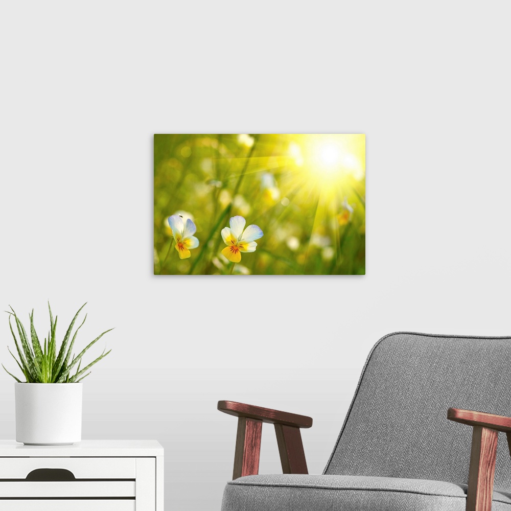 A modern room featuring Spring flowers background