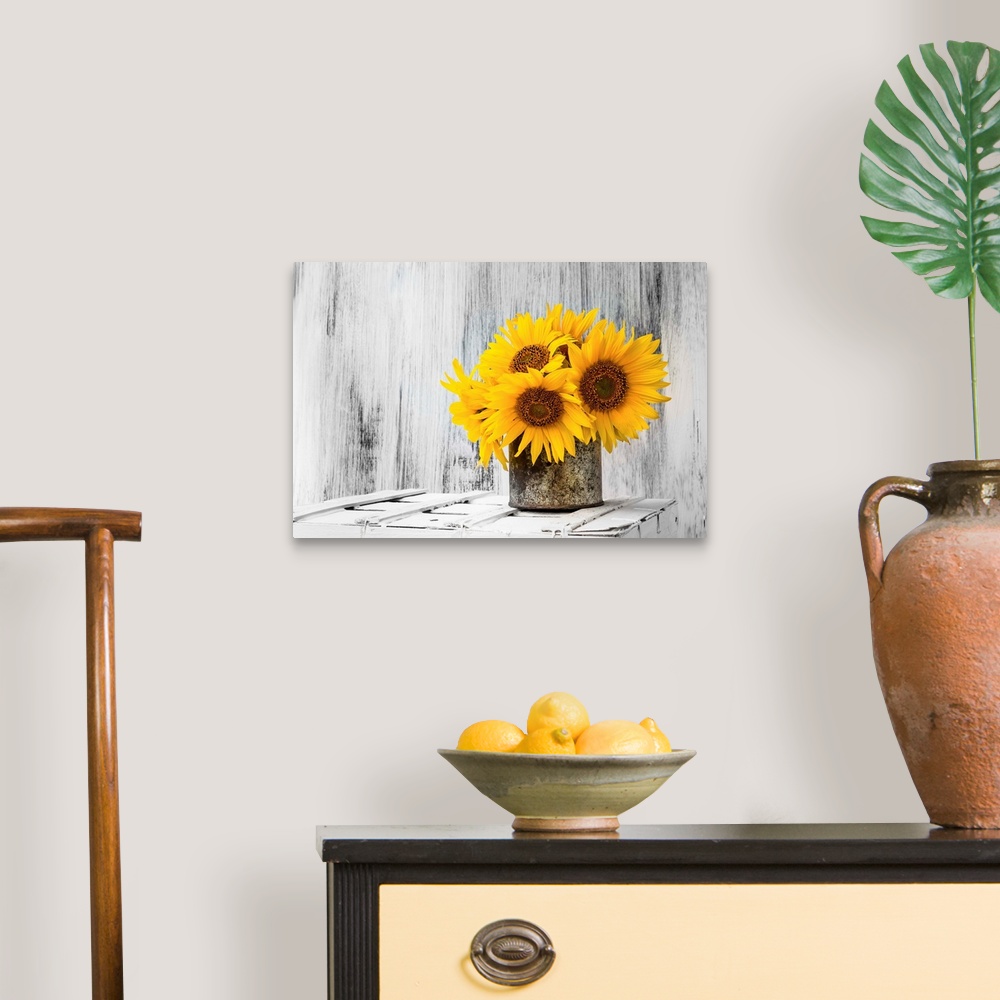 A traditional room featuring Background Still Life Flower Sunflower Wooden White Vintage