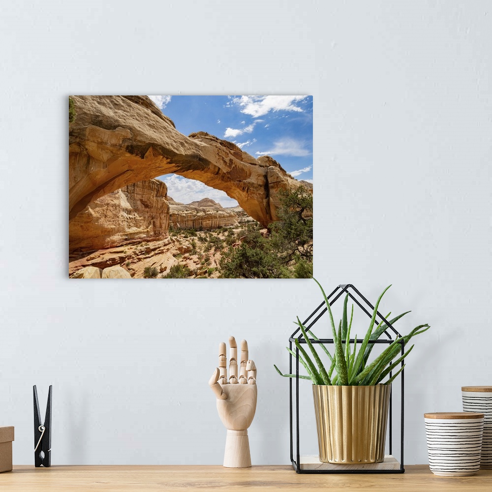 A bohemian room featuring Sunny View Of The Hickman Bridge Of Capitol Reef National Park In Utah