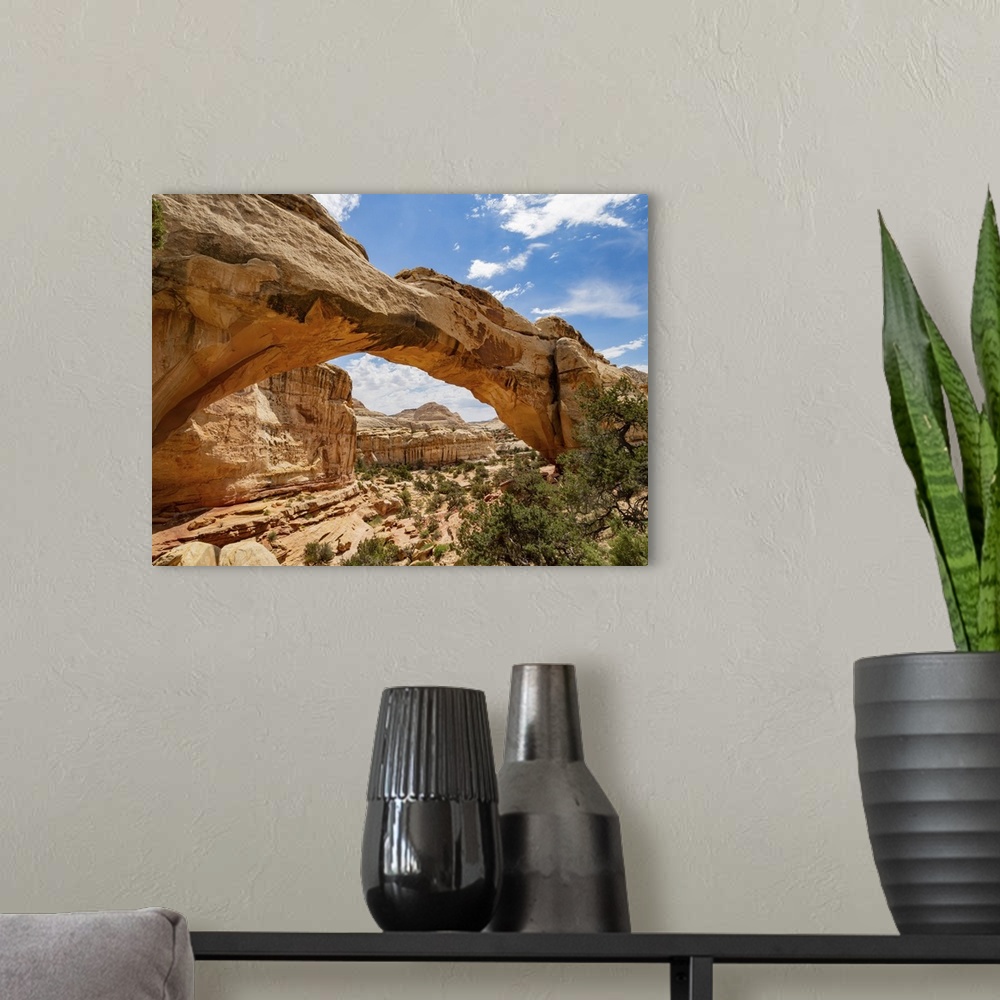 A modern room featuring Sunny View Of The Hickman Bridge Of Capitol Reef National Park In Utah