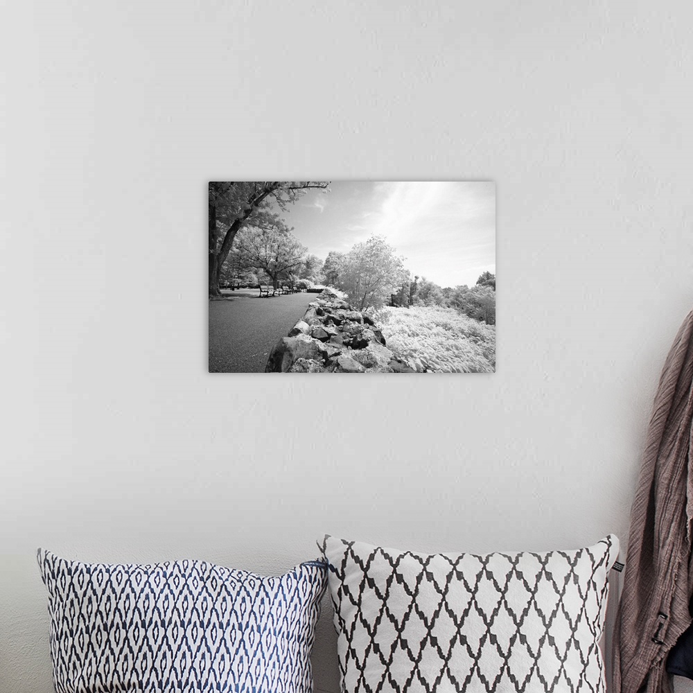A bohemian room featuring The dreamy infrared image of South Mountain Reservation in New Jersey.