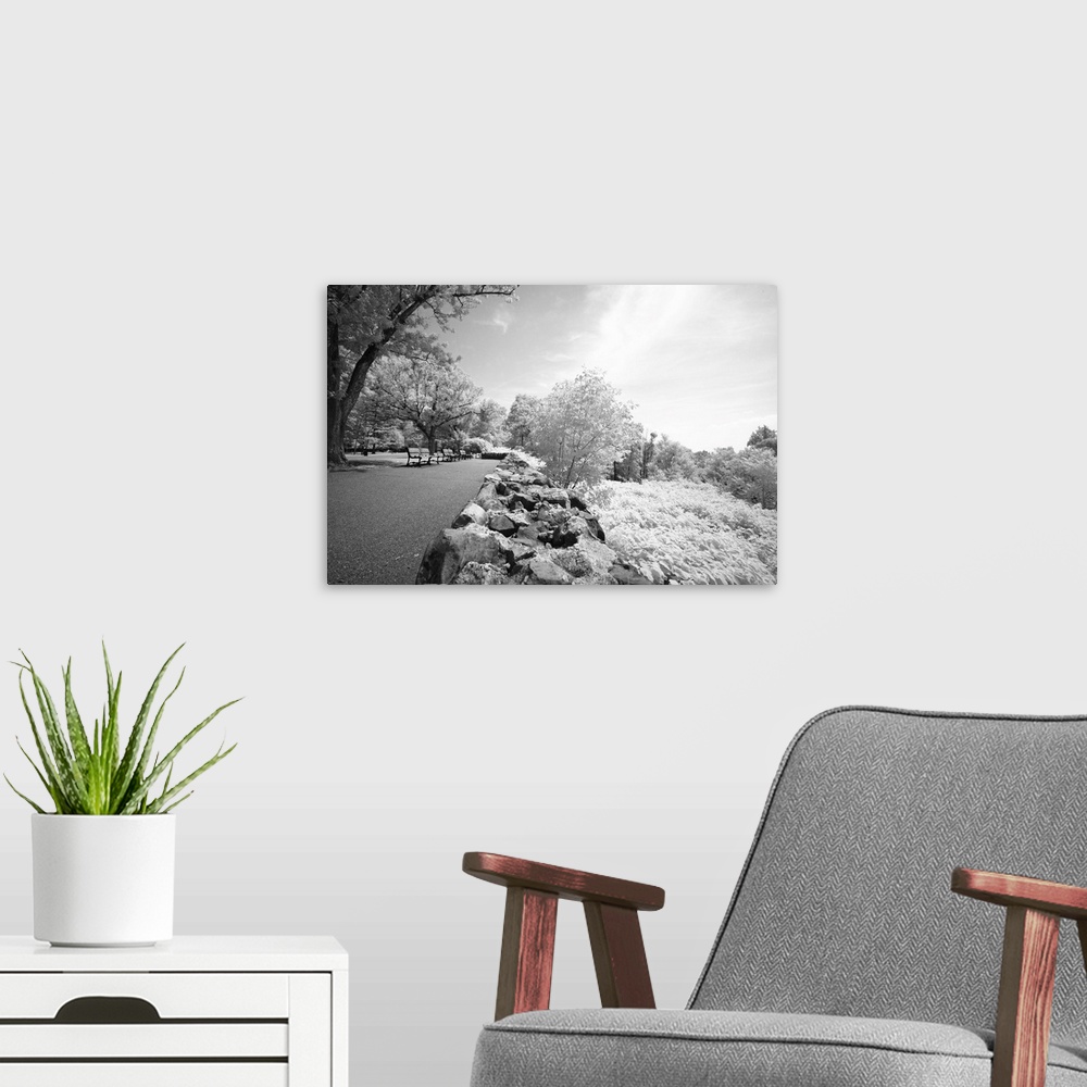 A modern room featuring The dreamy infrared image of South Mountain Reservation in New Jersey.