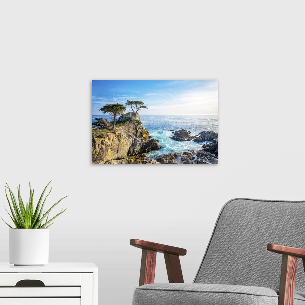 A modern room featuring The Lone Cypress, Seen From The 17 Mile Drive, Pebble Beach, California