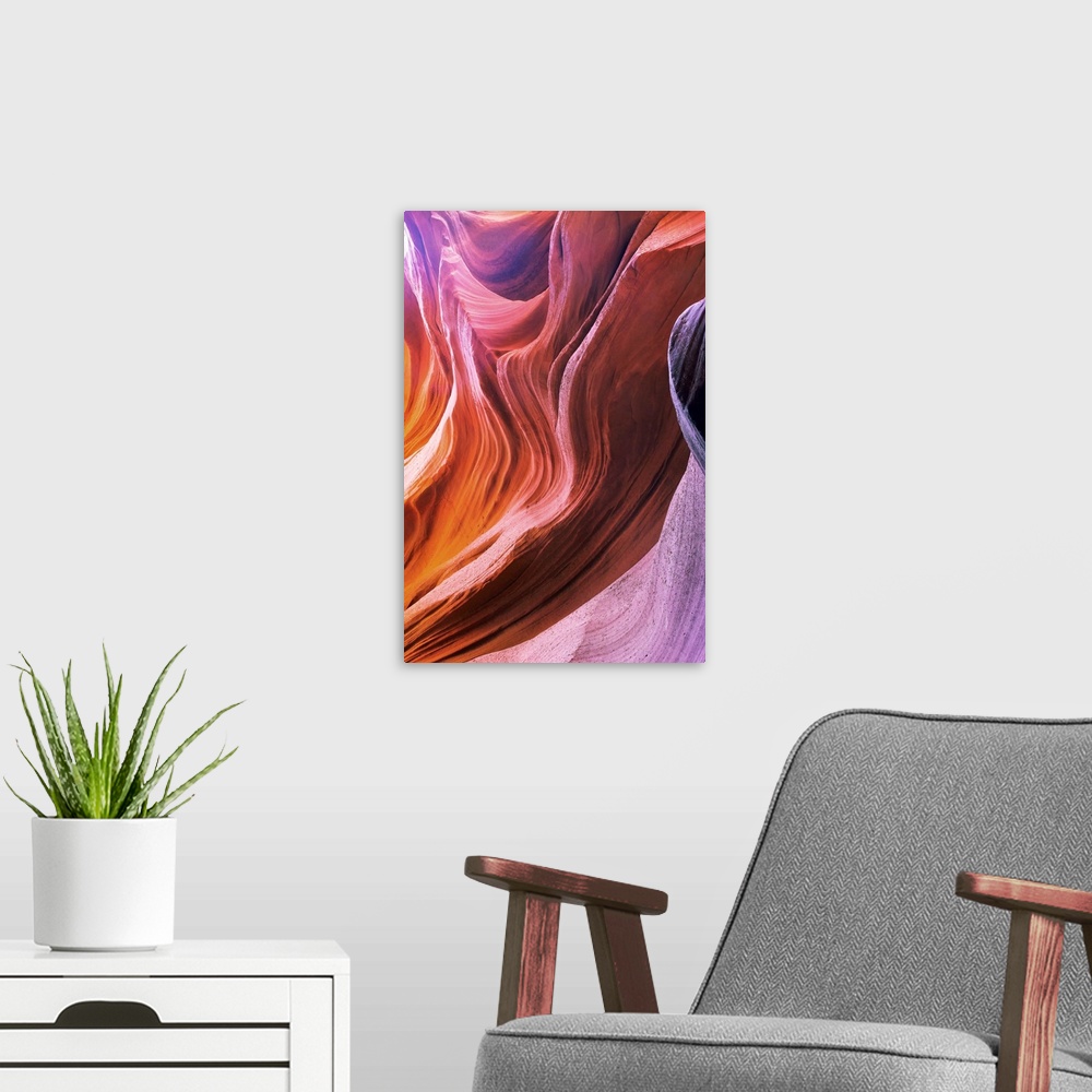 A modern room featuring Magic colors of Canyon Antelope in the USA