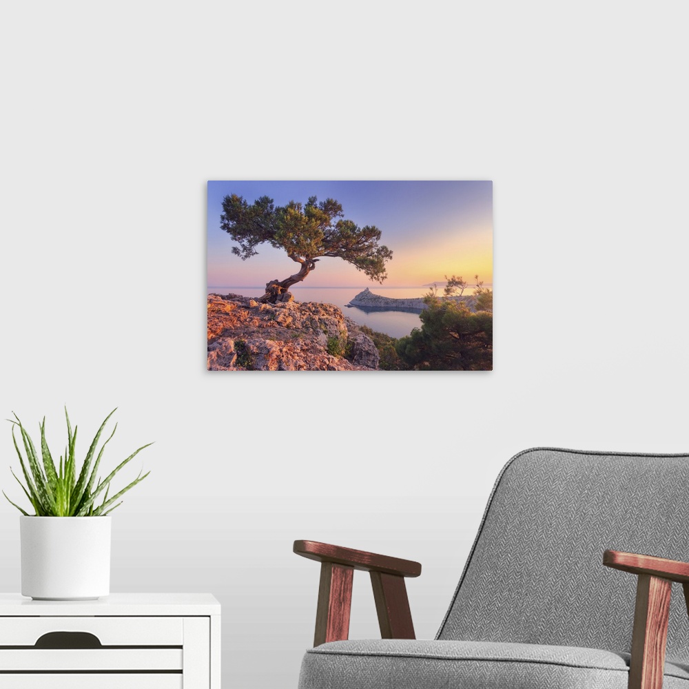 A modern room featuring Tree Growing Out Of The Rock At Sunrise, Crimea