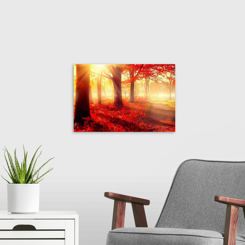A modern room featuring Autumn. Fall scene. Beautiful Autumnal park. Beauty nature scene. Autumn Trees and Leaves, foggy for