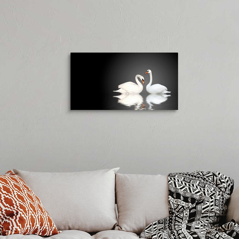 A bohemian room featuring Two white swans on black background