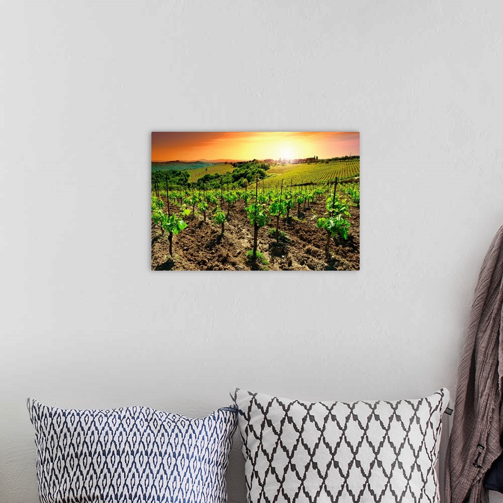 A bohemian room featuring Hill of Tuscany with Vineyard in the Chianti Region Sunset, Italy.