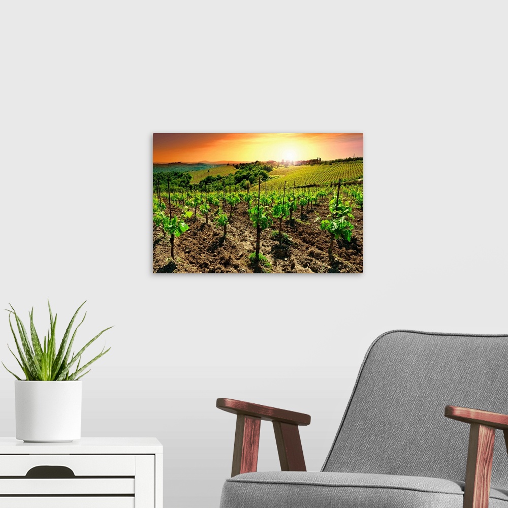 A modern room featuring Hill of Tuscany with Vineyard in the Chianti Region Sunset, Italy.