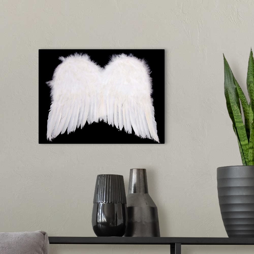 A modern room featuring Whiite Angel Wings On Black