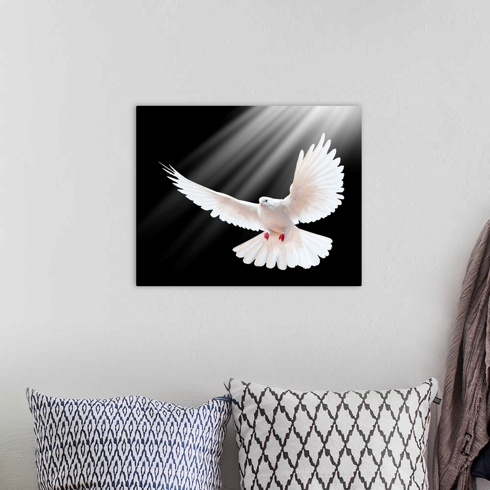 A bohemian room featuring A free flying white dove isolated on a black background