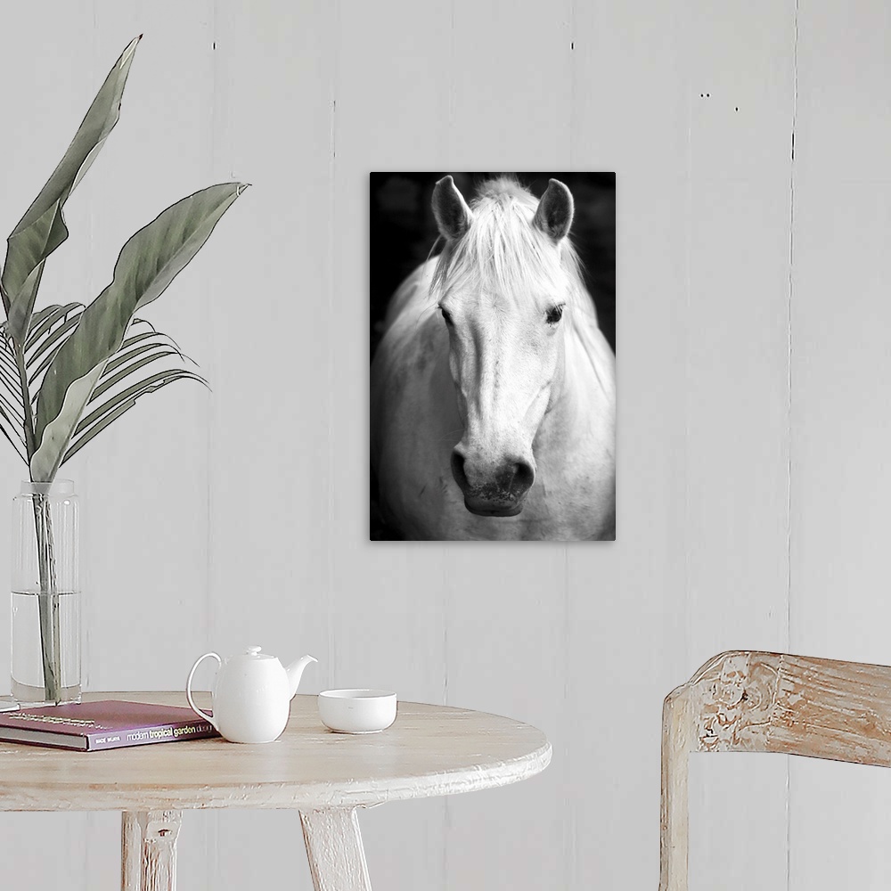 A farmhouse room featuring White horse's black and white art portrait