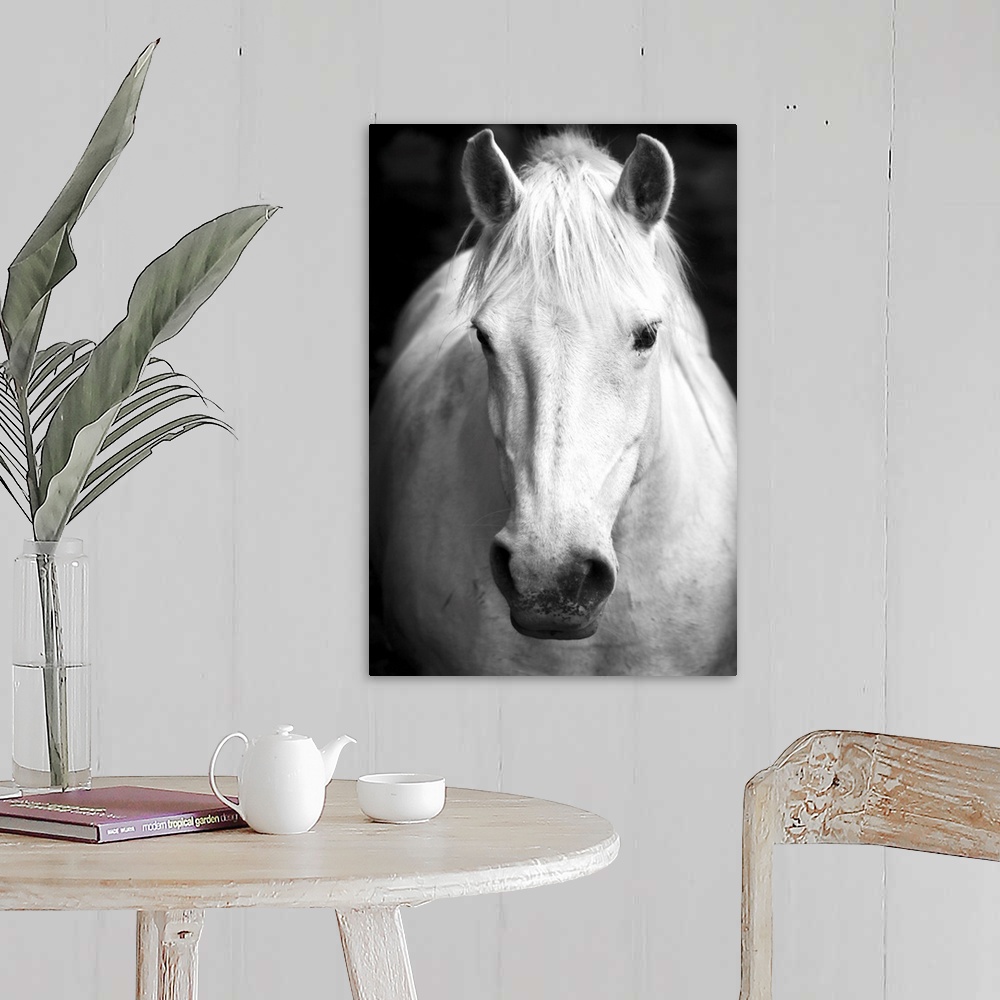 A farmhouse room featuring White horse's black and white art portrait