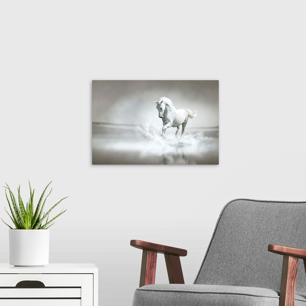A modern room featuring White horse running through water