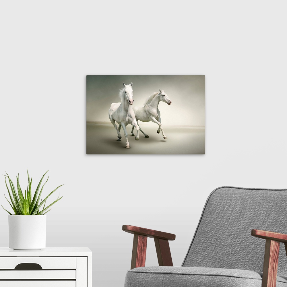 A modern room featuring White horses