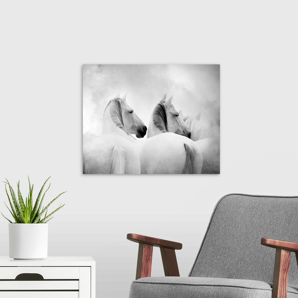 A modern room featuring White Horses