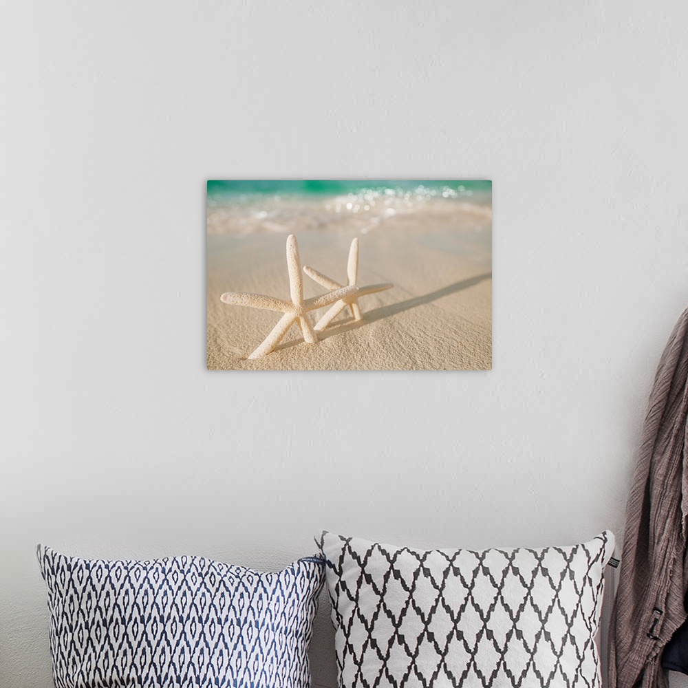 A bohemian room featuring white starfish on white sand beach.