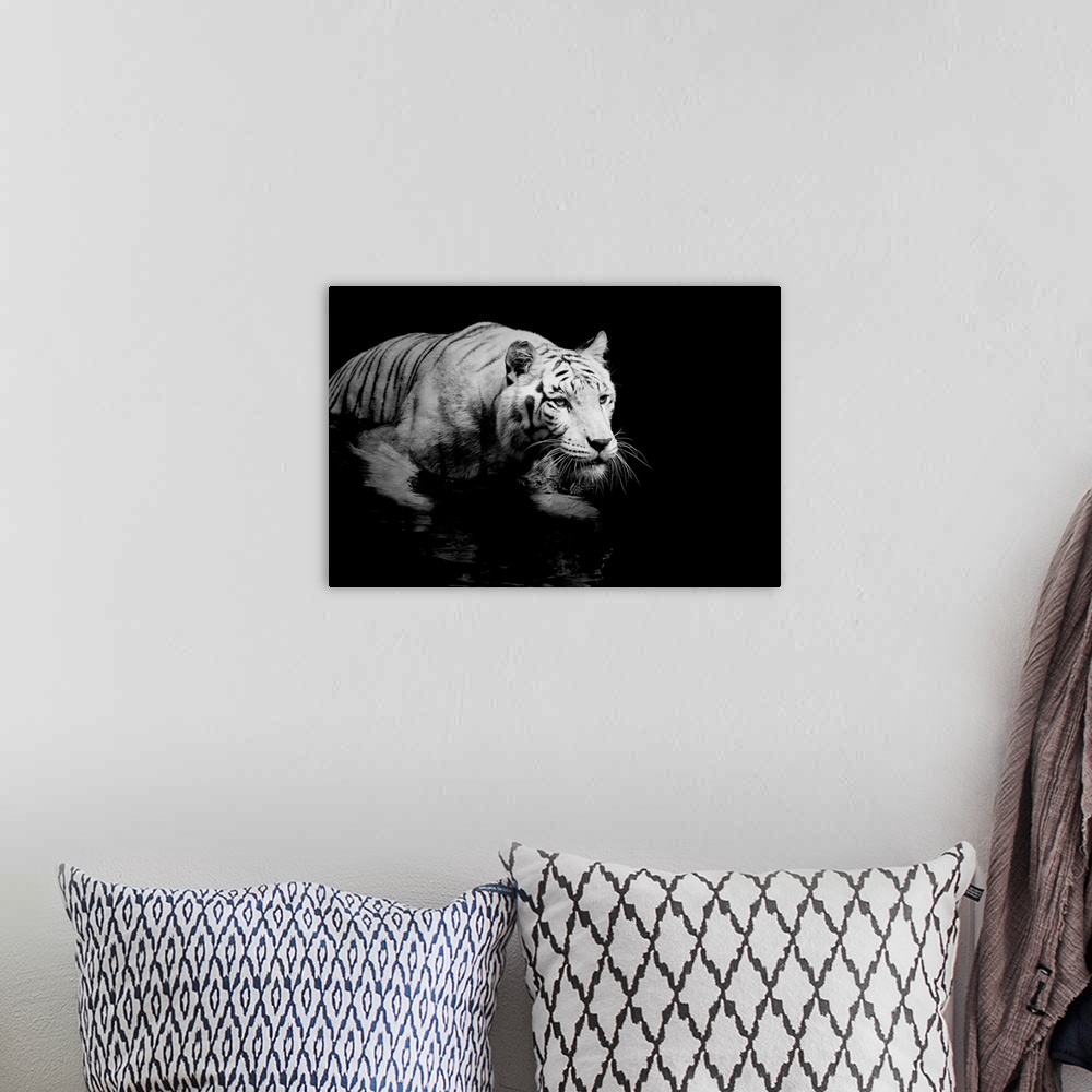 A bohemian room featuring White Tiger
