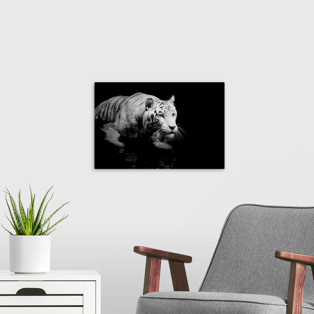 A modern room featuring White Tiger