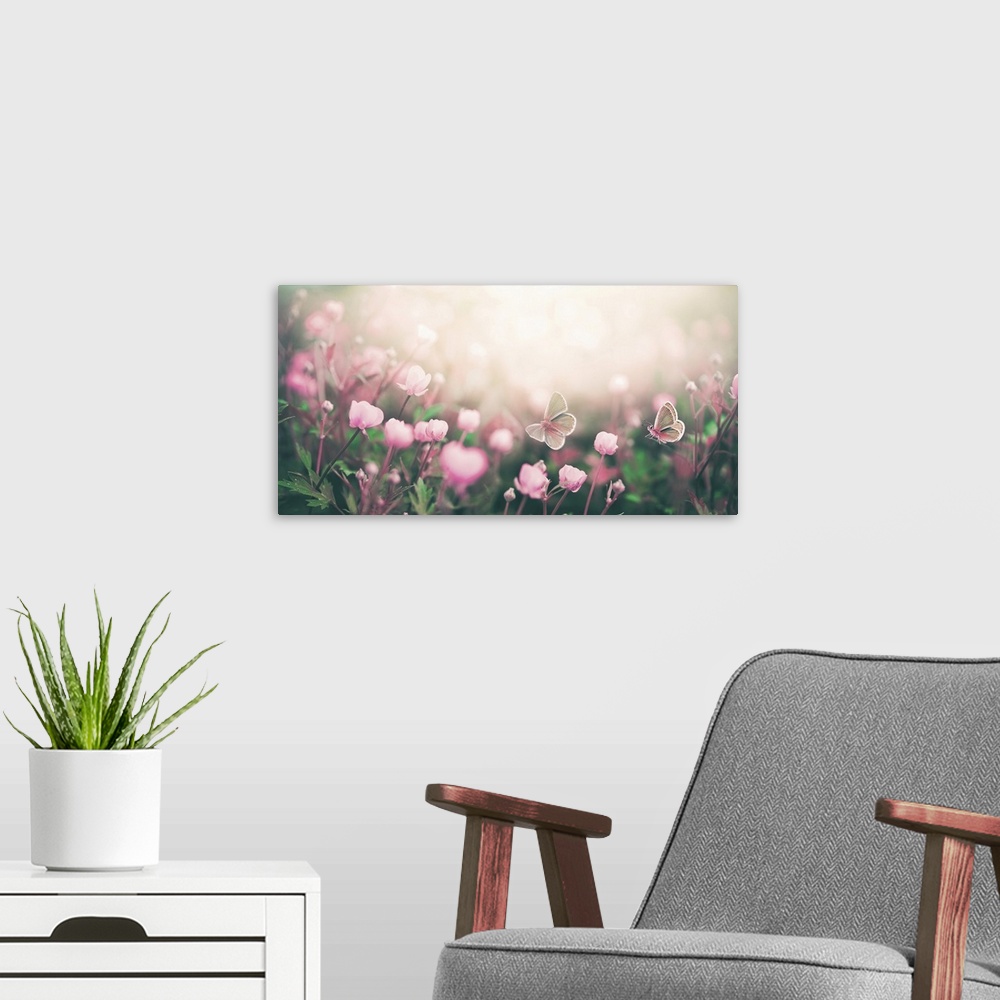 A modern room featuring Wild Pink Flowers And Two Fluttering Butterflies Bathed In Sunlight In Nature