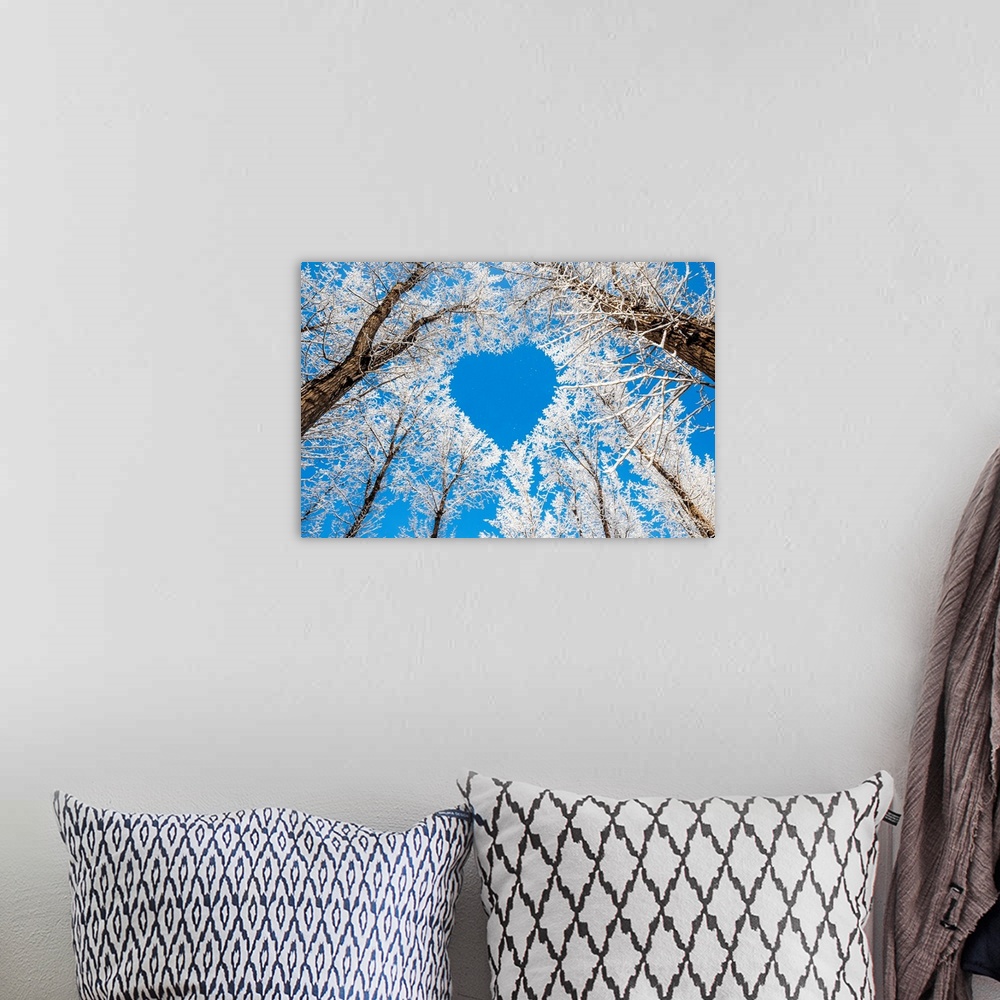 A bohemian room featuring Winter landscape, branches forming a heart shape