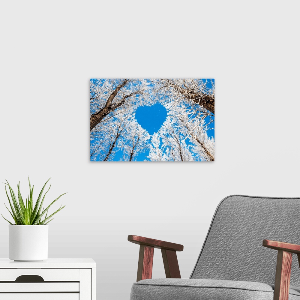 A modern room featuring Winter landscape, branches forming a heart shape