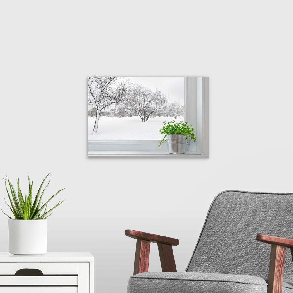 A modern room featuring Winter Landscape Seen Through The Window, And Green Plant