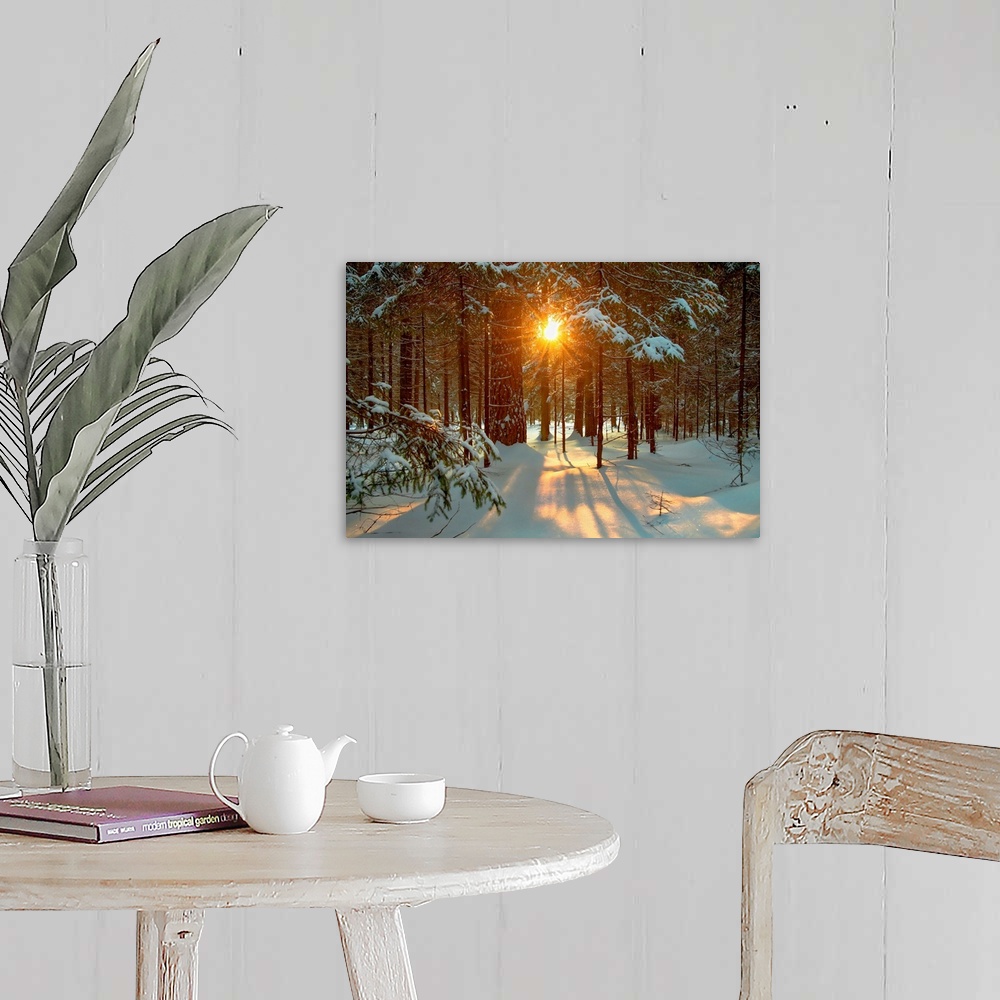 A farmhouse room featuring Winter landscape with setting sun shining through forest trees