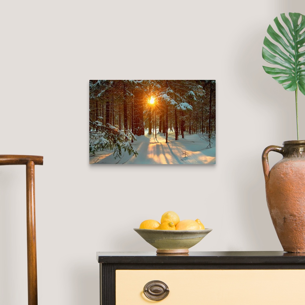 A traditional room featuring Winter landscape with setting sun shining through forest trees