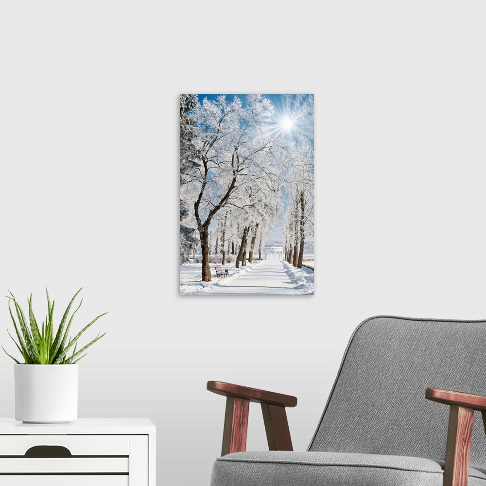 A modern room featuring Winter landscape with snow covered row of trees