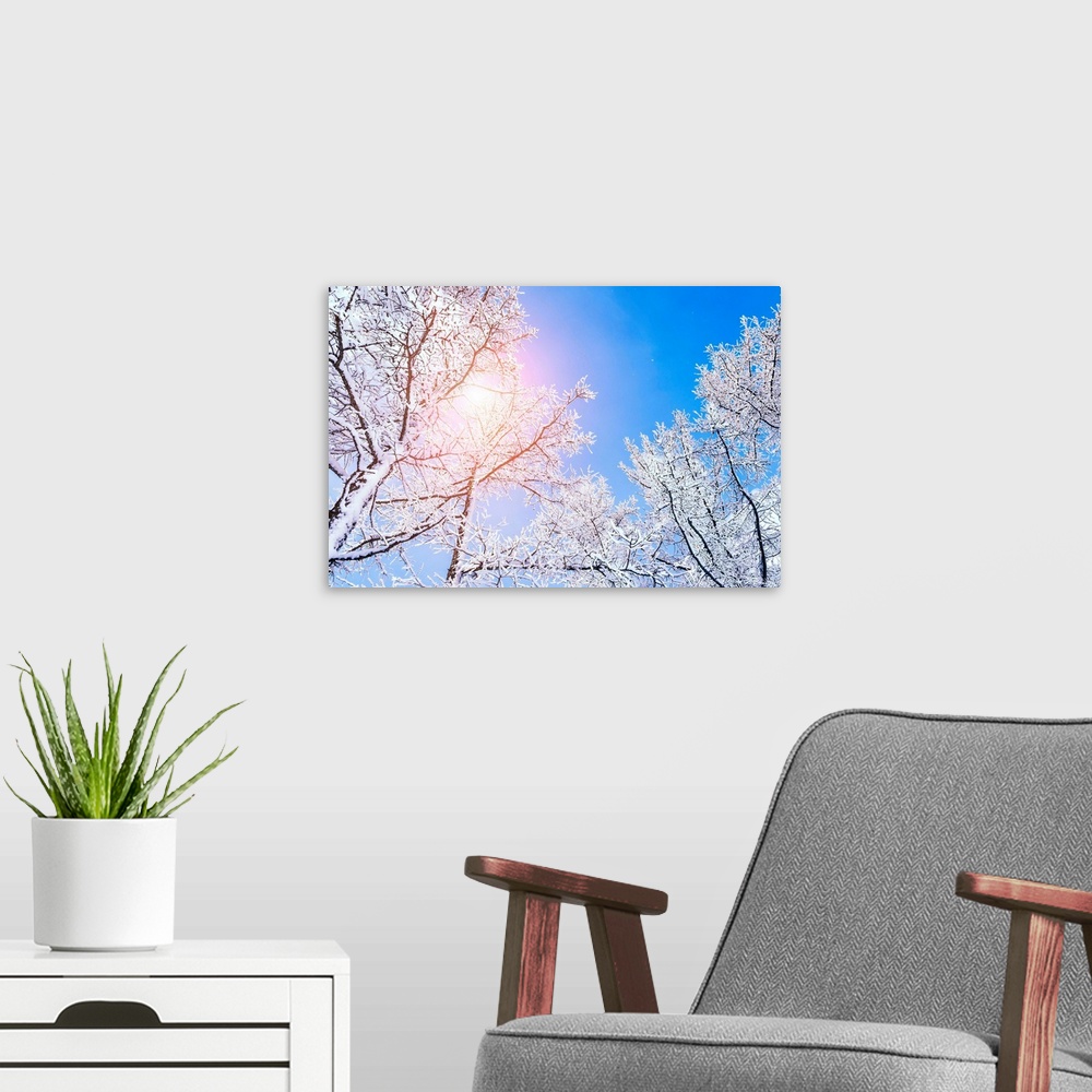 A modern room featuring Snow covered trees in the mountains at sunset. Beautiful winter landscape.