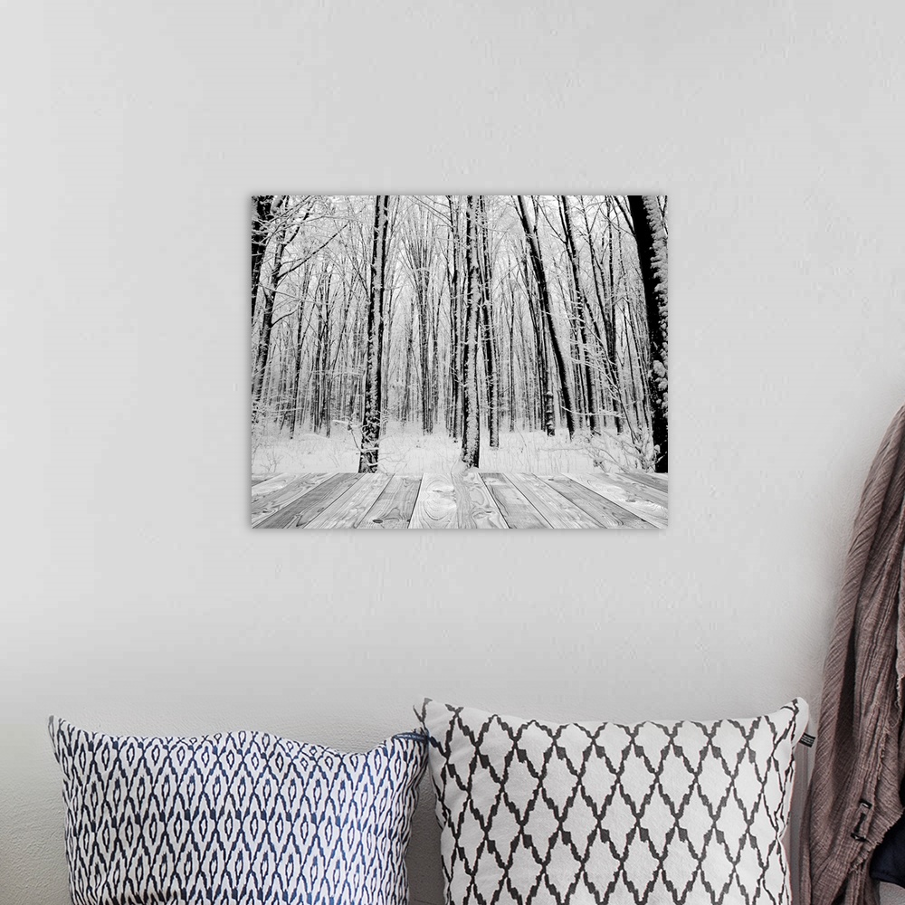 A bohemian room featuring wood textured backgrounds in a room interior on the forest winter backgrounds. white and black