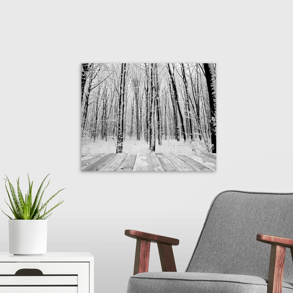 A modern room featuring wood textured backgrounds in a room interior on the forest winter backgrounds. white and black