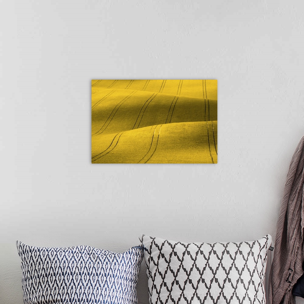A bohemian room featuring Yellow Rapeseed Field With Stripes In A Wavy Abstract Pattern