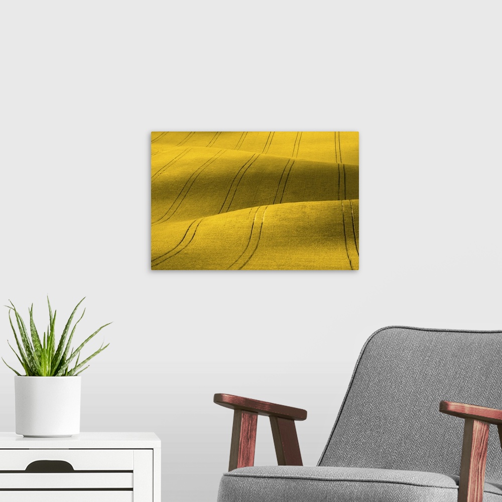A modern room featuring Yellow Rapeseed Field With Stripes In A Wavy Abstract Pattern