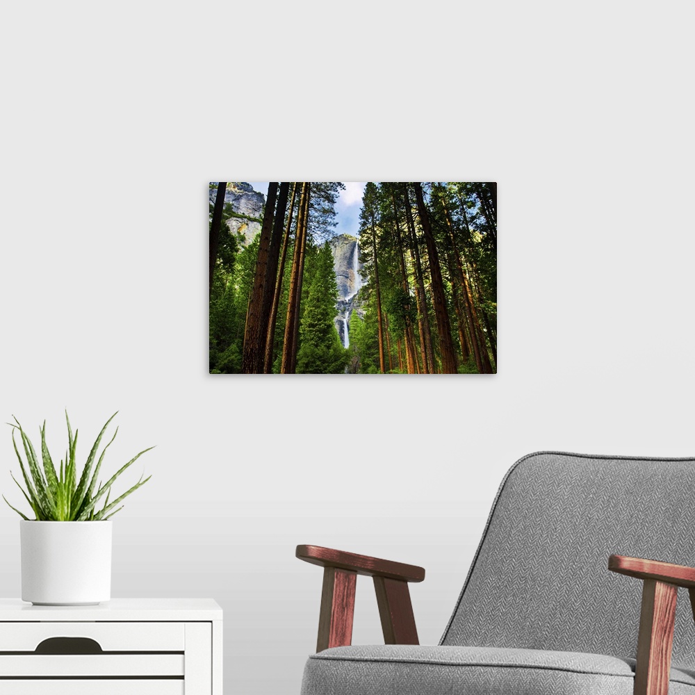 A modern room featuring Yosemite Waterfalls Behind Sequoias In Yosemite National Park, California