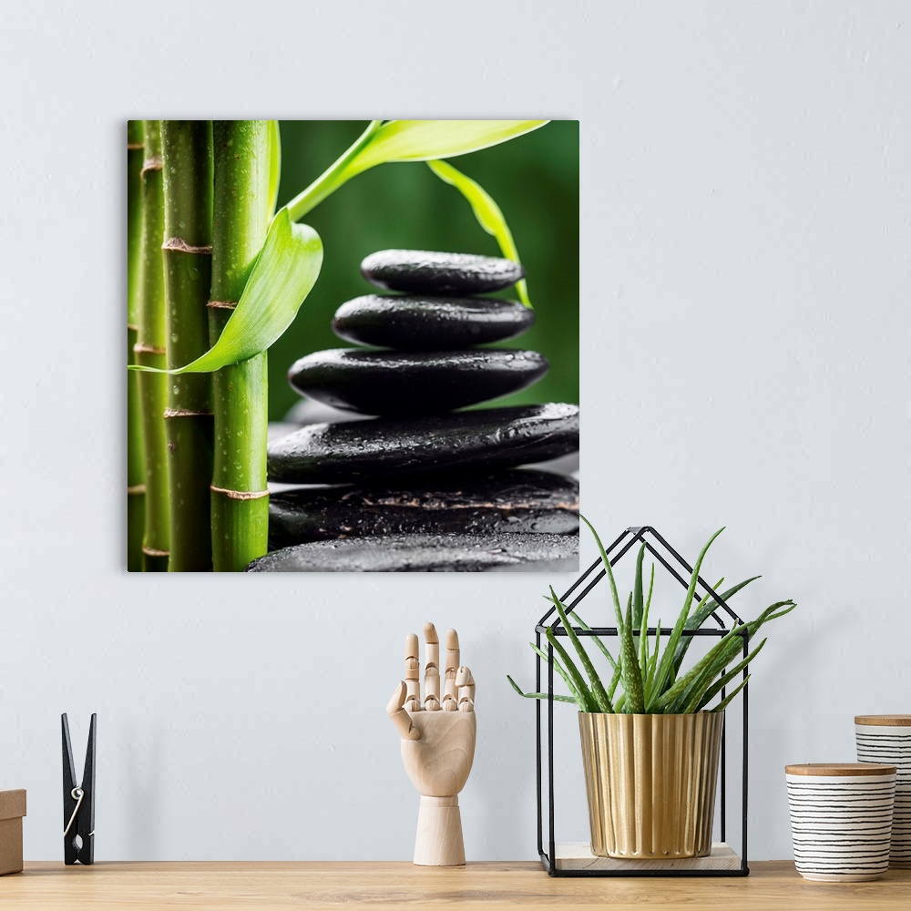 A bohemian room featuring zen basalt stones and bamboo (focus on the bamboo leaf).