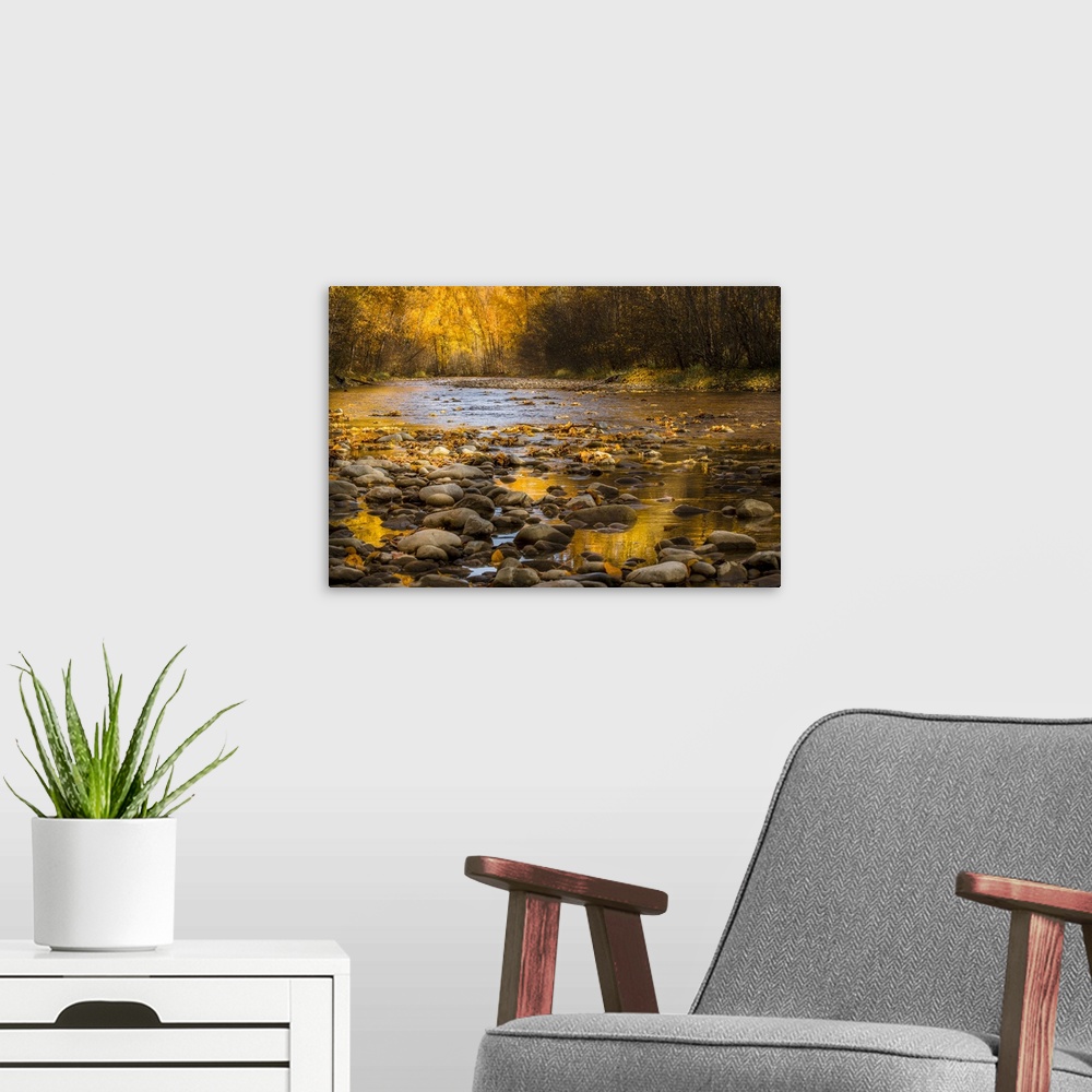 A modern room featuring A golden sunrise of fall colors along a small creek bed in British Columbia, Canada.