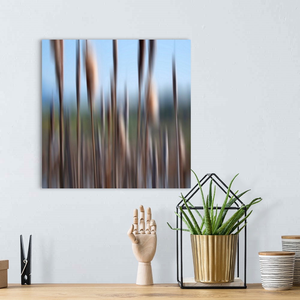 A bohemian room featuring Intentional motion blur in camera created this abstract of cattails along a pond edge.