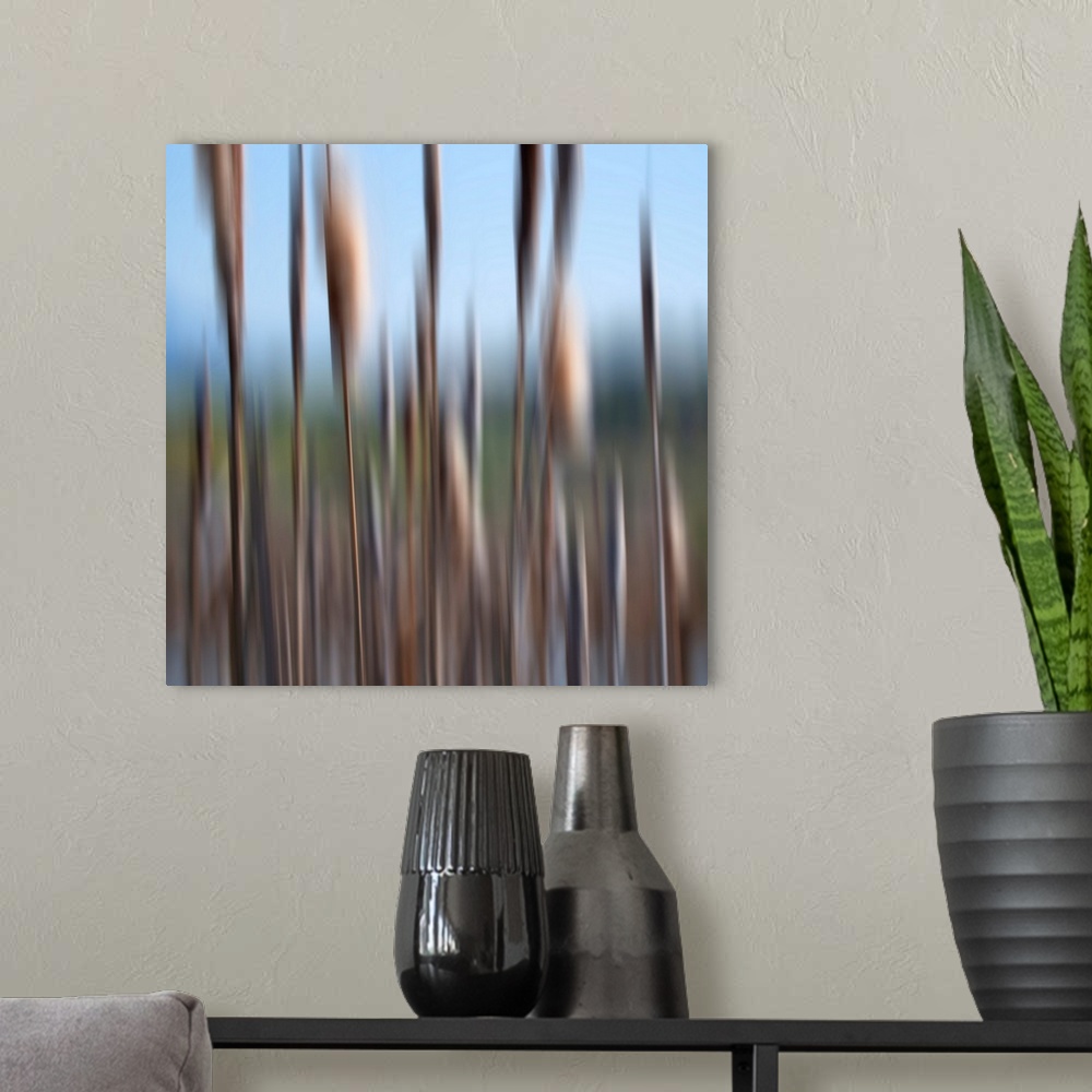 A modern room featuring Intentional motion blur in camera created this abstract of cattails along a pond edge.