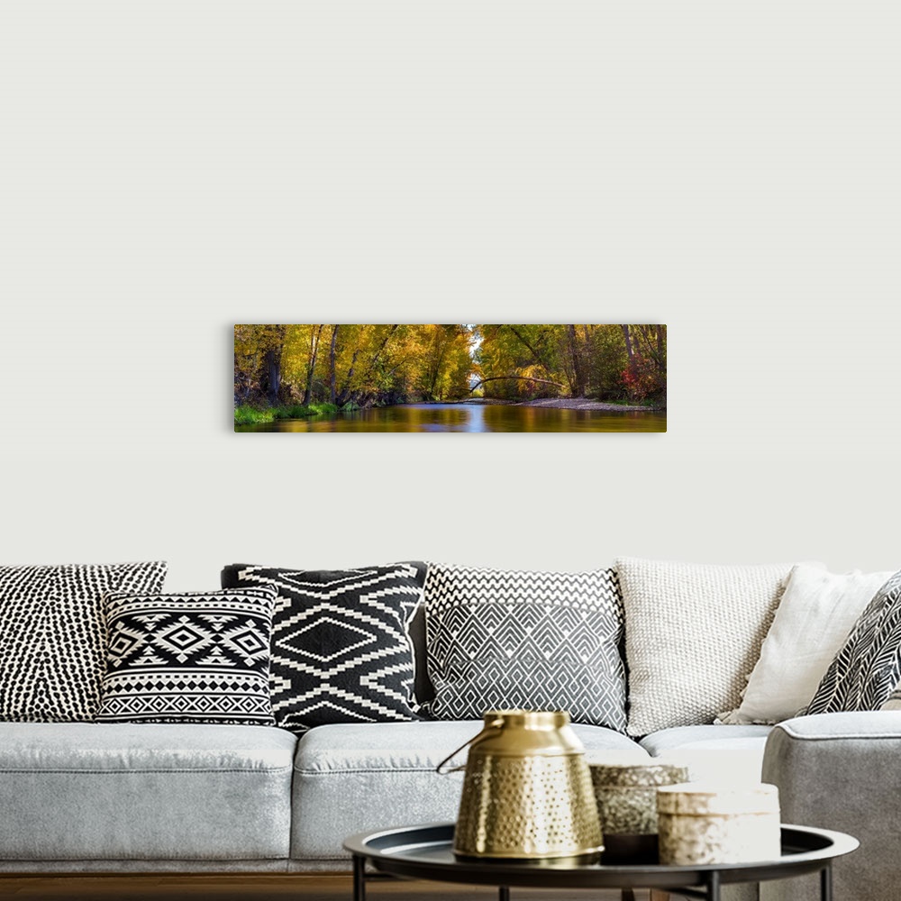 A bohemian room featuring Multi-stitched panorama of a quiet fall colored creek with trees in British Columbia, Canada.