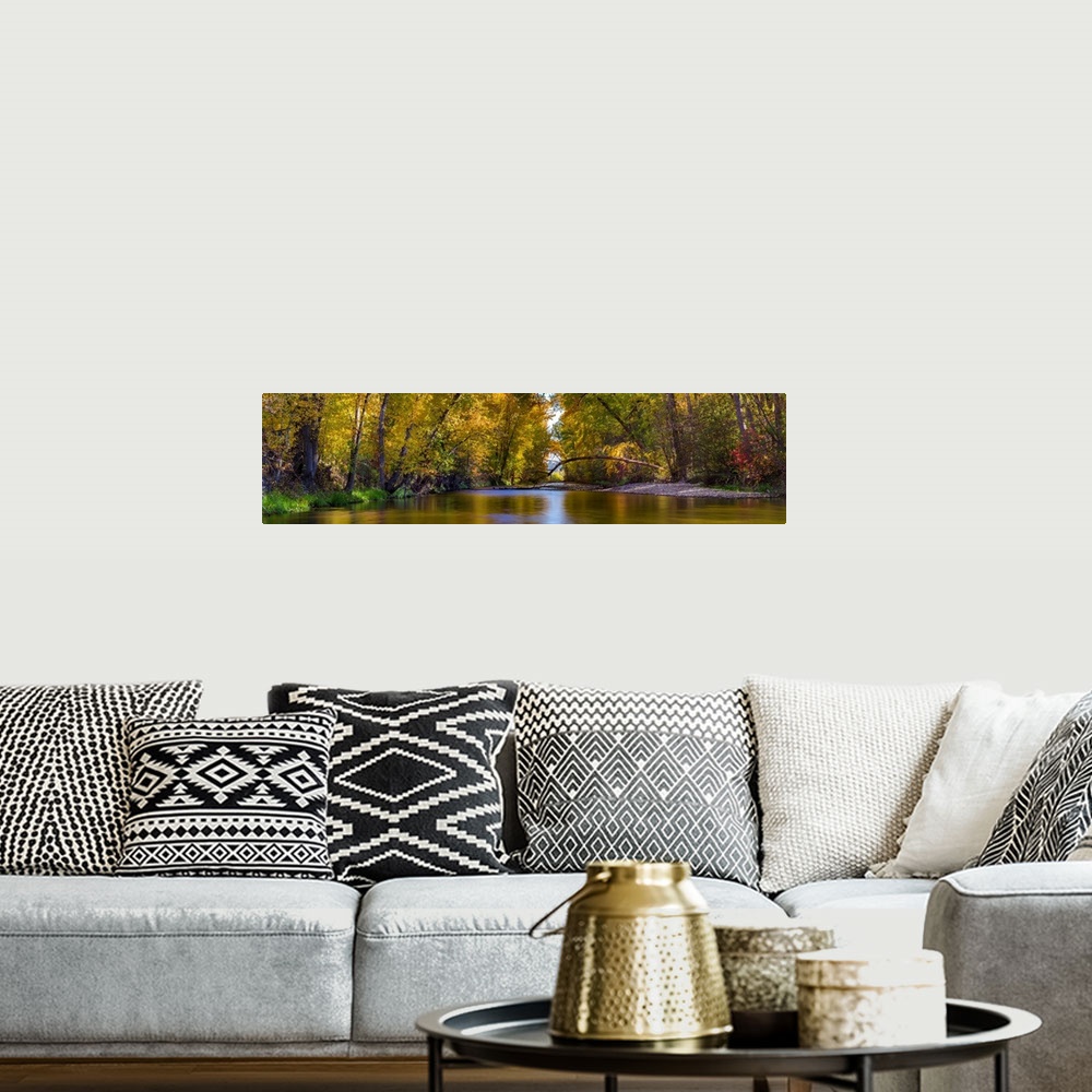 A bohemian room featuring Multi-stitched panorama of a quiet fall colored creek with trees in British Columbia, Canada.