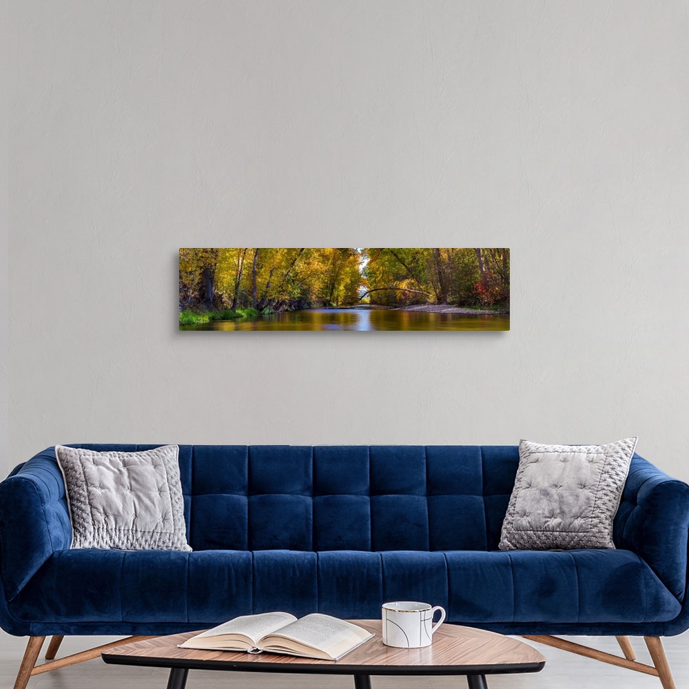 A modern room featuring Multi-stitched panorama of a quiet fall colored creek with trees in British Columbia, Canada.