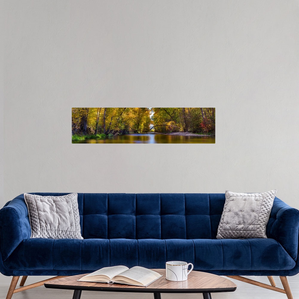A modern room featuring Multi-stitched panorama of a quiet fall colored creek with trees in British Columbia, Canada.
